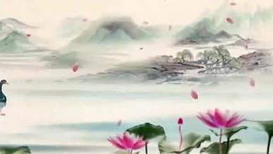 水墨荷花荷叶诗歌鹅视频素材视频的预览图